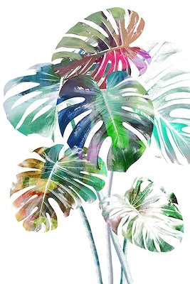 Multicolored Split Leaf
