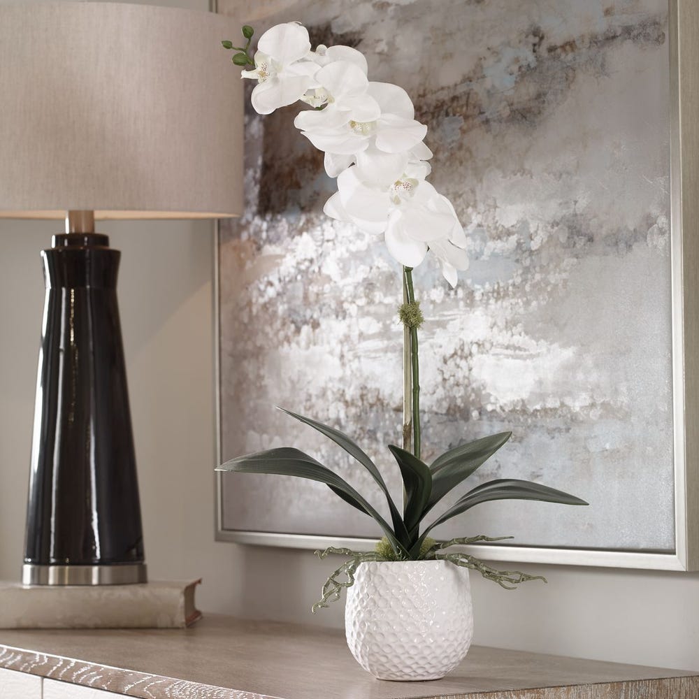 Orchid in White Ceramic Pot