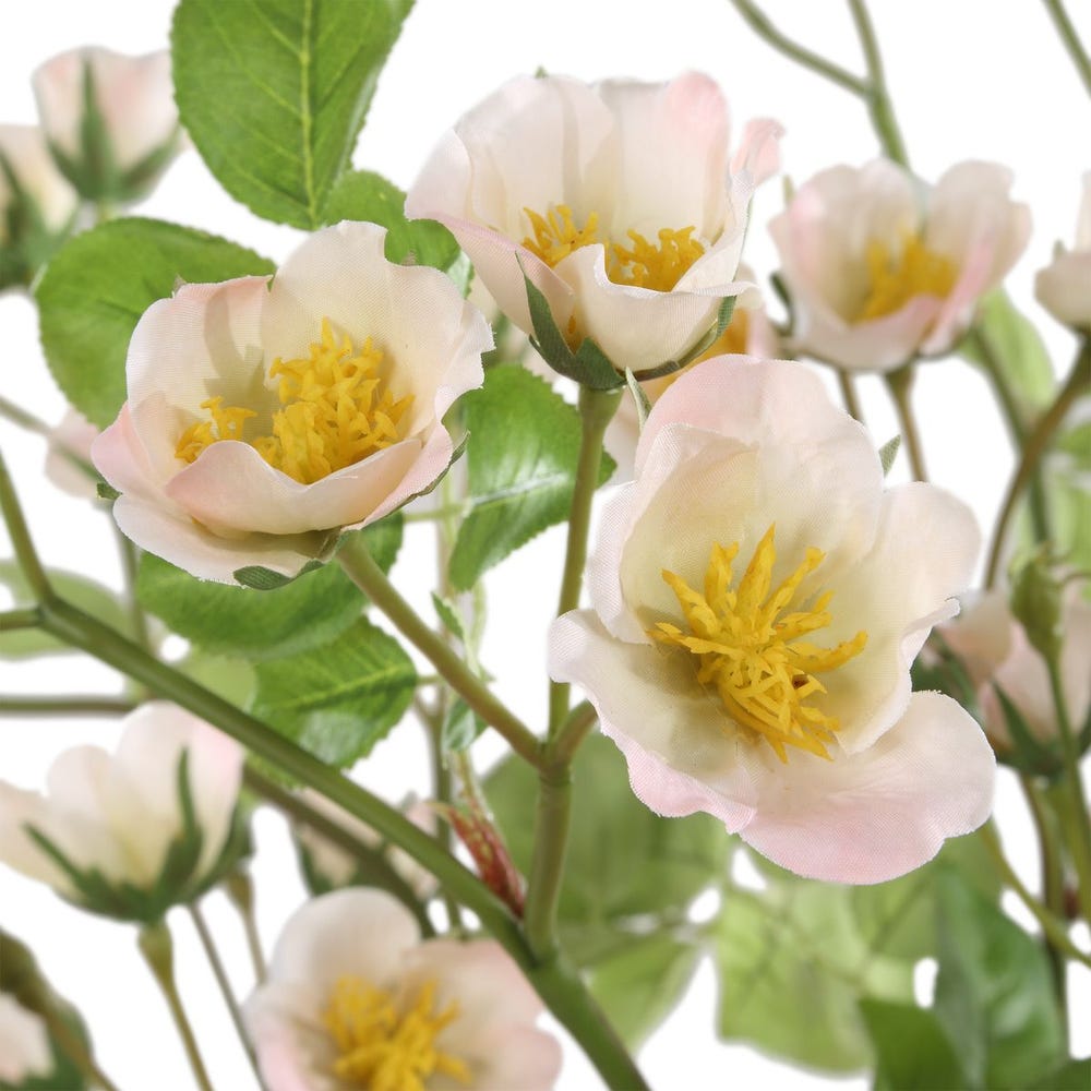 Tranquility Bouquet, 2 Variants