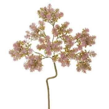 Sedum Spray - Pink