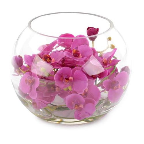 Orchid Phalaenopsis Fuchsia in Glass Bowl