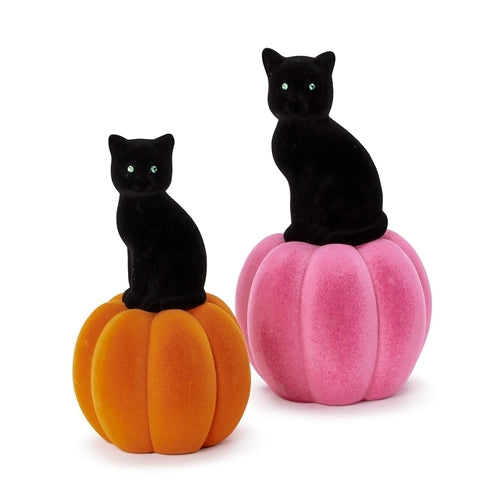 Black Cats on Pumpkins, 2 Styles