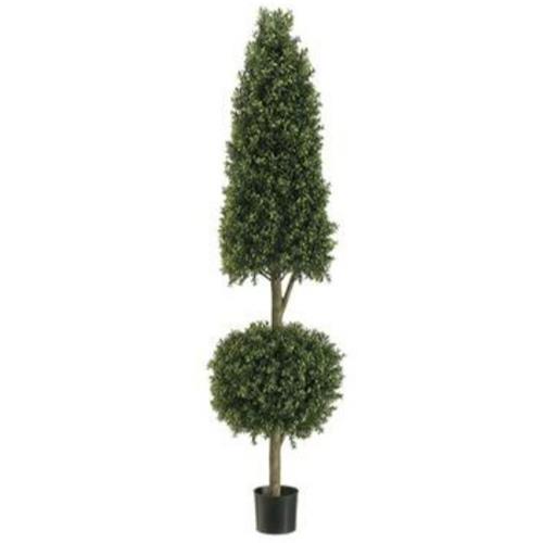 Topiary - Cone/Ball Boxwood