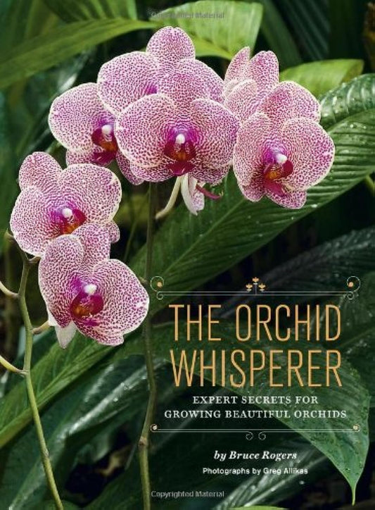 The Orchid Whisperer: Expert Secrets for Growing Beautiful Orchids