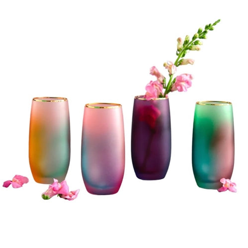 Frosted Rainbow Tumbler with Gold Rim, 4 Assortment Colors