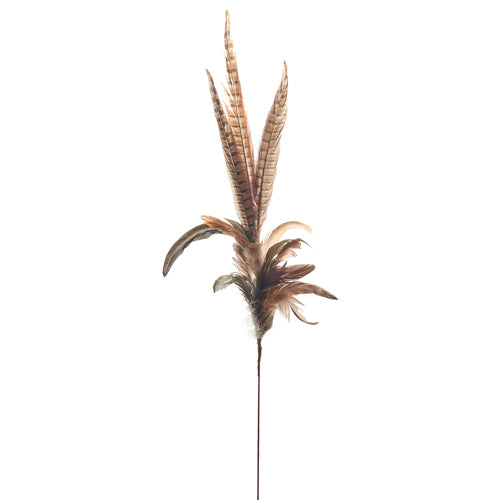 Brown Feather Spray