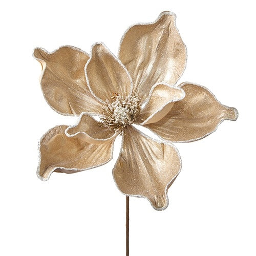 Magnolia - Gold Stem w/ White Glitter