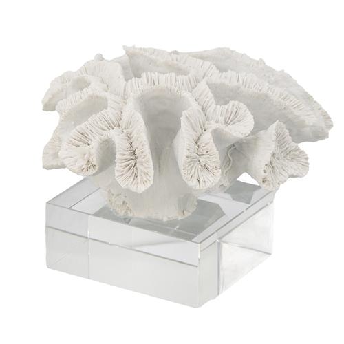 White Coral on Glass Base