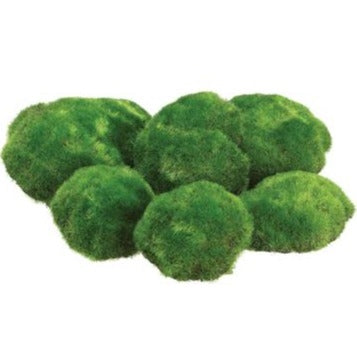 Moss - Assorted Moss Rocks