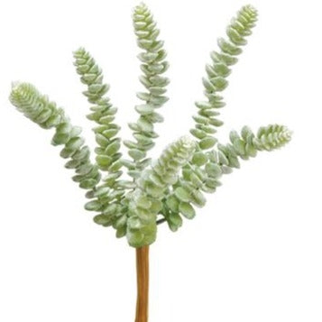 Donkey Tail Pick Light Green