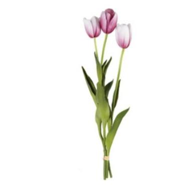 Tulip Bundle S/3 - Fuchsia