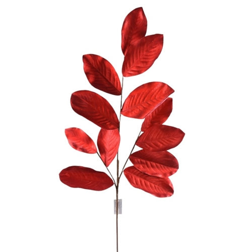 Leaves - Red Magnolia Stem