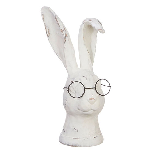 Rabbit with Glasses