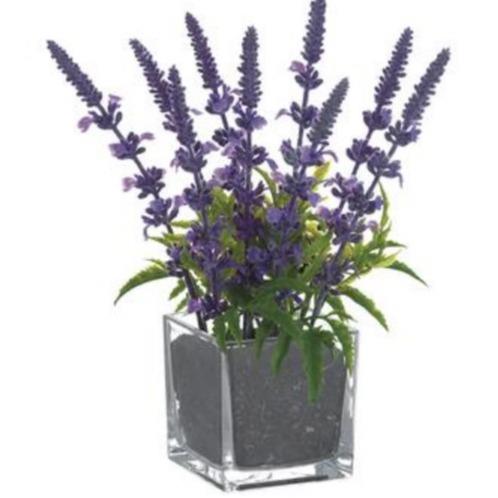 Lavender in Square Glass Vase