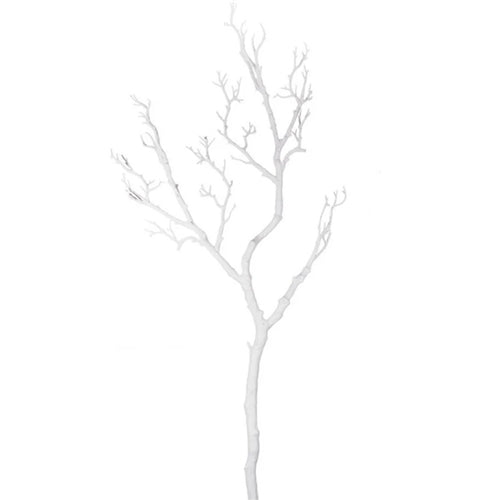 White Branch