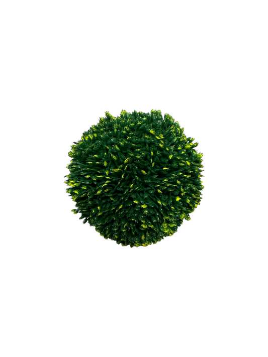 Boxwood Ball