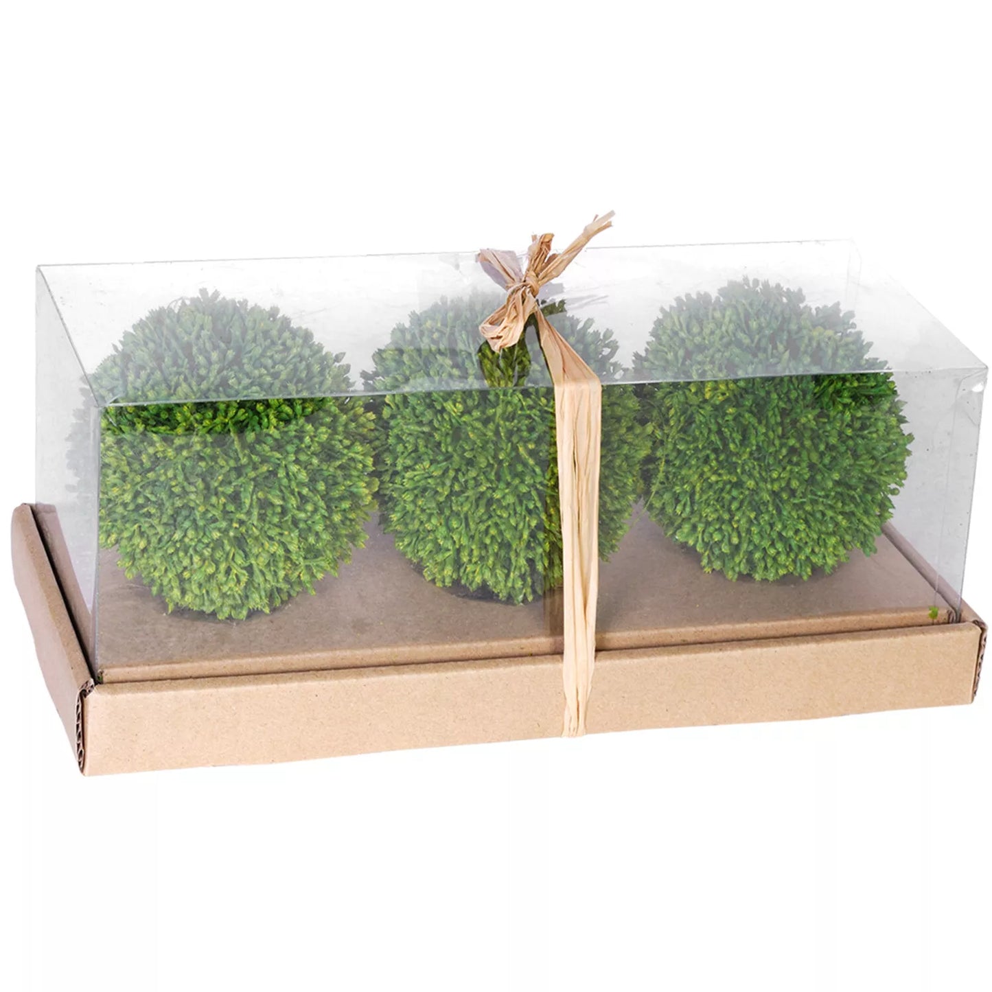 Boxwood Ball - S/3