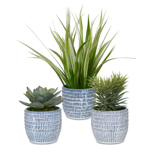 Blue & White Potted Greenery, 3 Styles