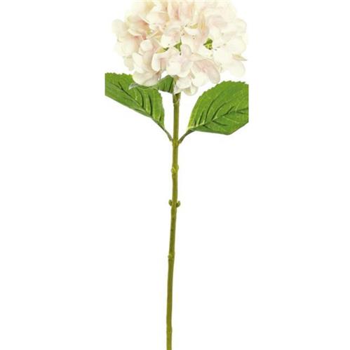 Hydrangea Stem - Creme / Light Pink