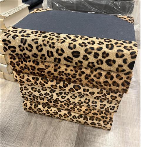 Cheetah Hide Book