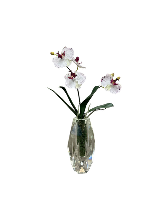 Custom Phalaenopsis Orchid Spray in Crystal Vase