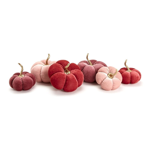 Pumpkins - Assorted Pink Hues, 6 Styles