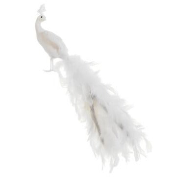 Peacock - White