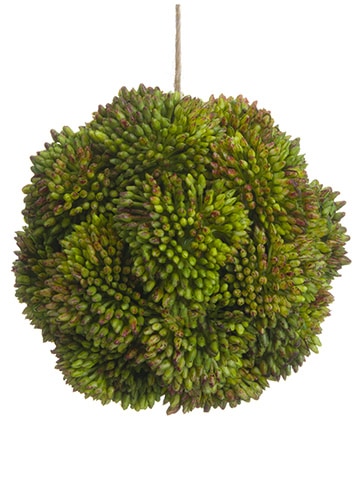 Sedum Orb - 4"