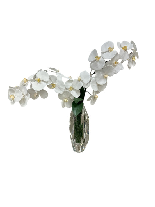 Custom Phalaenopsis Stem White 44.5" in Crystal Vase