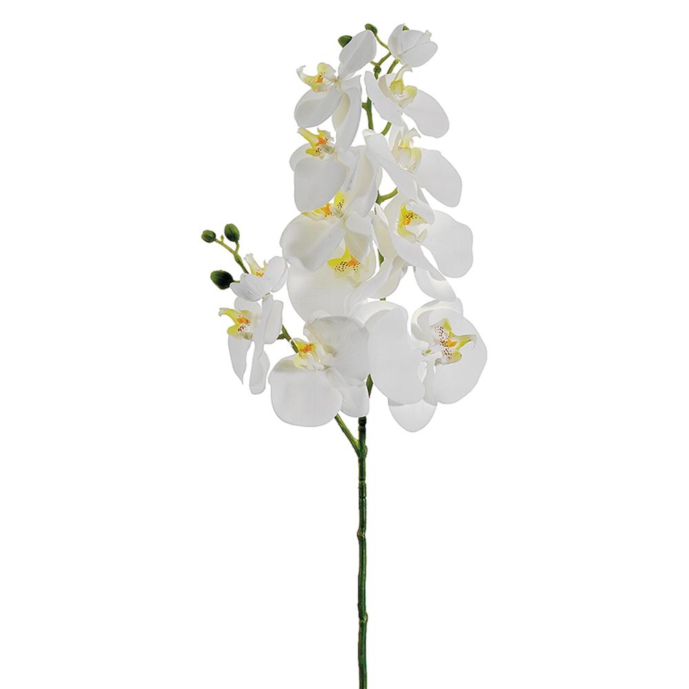 Orchid- Phalaenopsis Stem White 34"