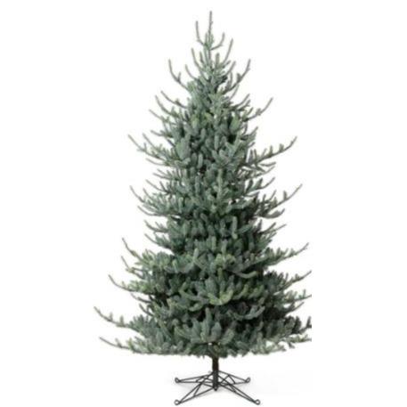 10' Blue Spruce Tree