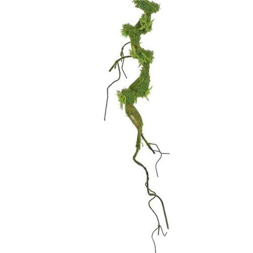 Twig Vine Mossy - 38"