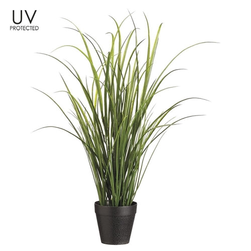 UV Protected Tall Grass in Pot