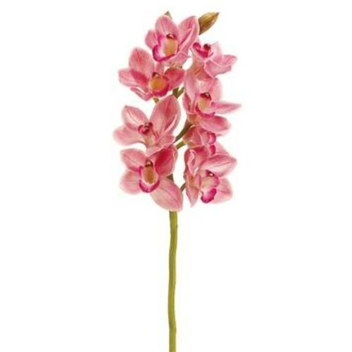 Cymbidium Spray - Blush