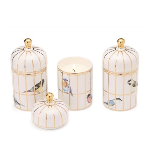 Bird Cage Candle