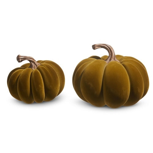 Pumpkins - Velvet Olive Green, 2 Assortment Sizes