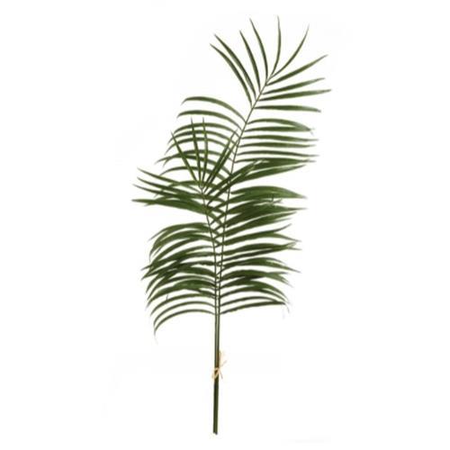 Palm Leaf Branches