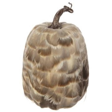 Pumpkin - 7.8" Brown Two Toned Feather