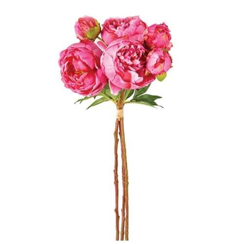 Peony Bundle – Pink S/3