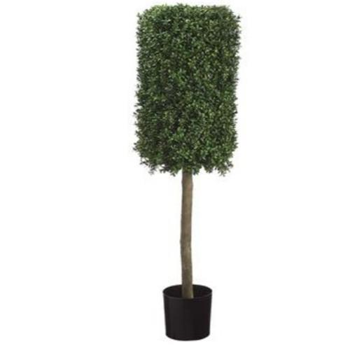 Boxwood Topiary