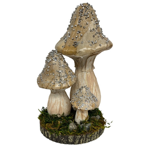 Jewel Mushrooms