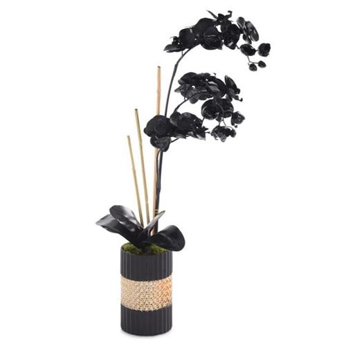 Orchid - Black in Gold Banded Vase