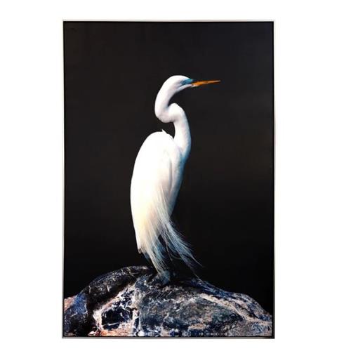 White Heron Framed Art