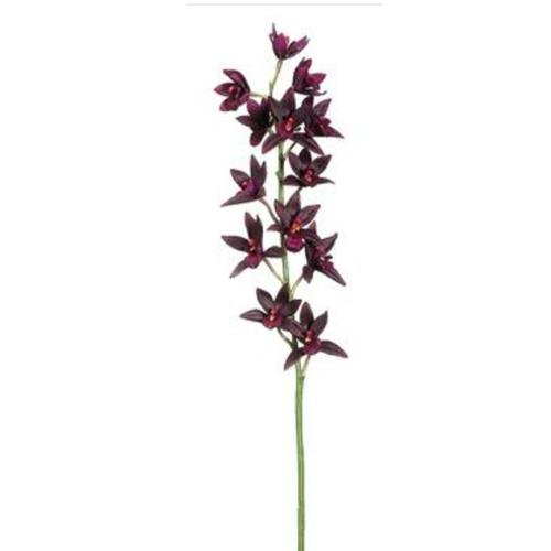 Cymbidium Spray - Plum