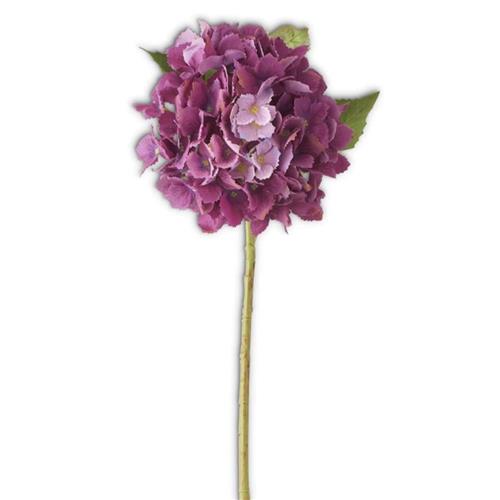 Hydrangea Stem - Purple