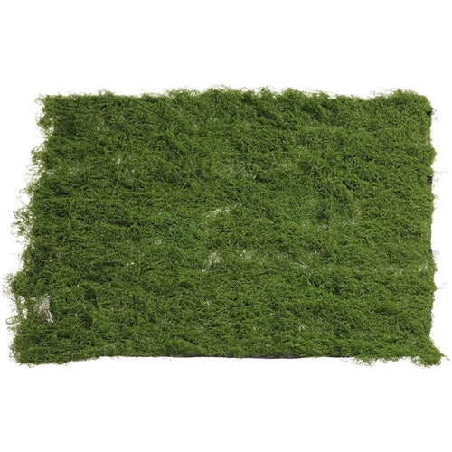 Moss Sheet - Green, 39" W x 39" L