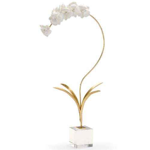 White Glaze Orchid