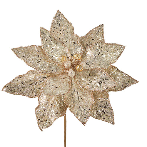 Poinsettia - Glitter, Champagne
