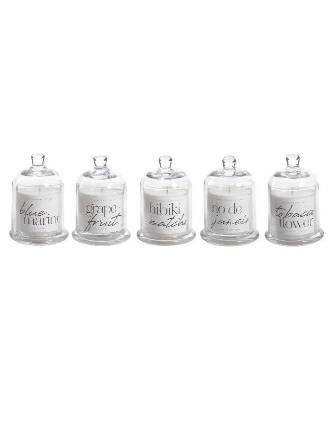 Apothecary Guild Scented Candle Jar with Glass Dome, 5 Scents