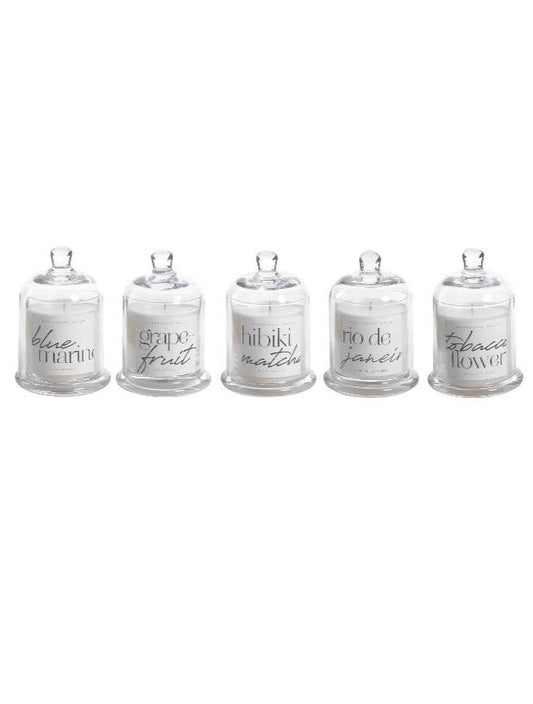 Apothecary Guild Scented Candle Jar with Glass Dome, 5 Scents